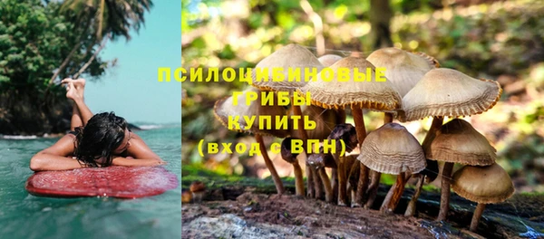 ГАЛЛЮЦИНОГЕННЫЕ ГРИБЫ Абаза