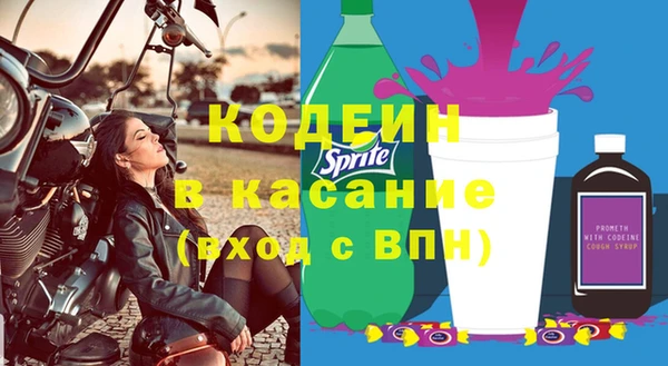 ГАЛЛЮЦИНОГЕННЫЕ ГРИБЫ Абаза