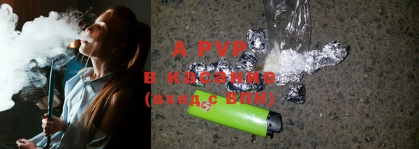 ГАЛЛЮЦИНОГЕННЫЕ ГРИБЫ Абаза