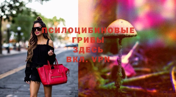 дживик Покров