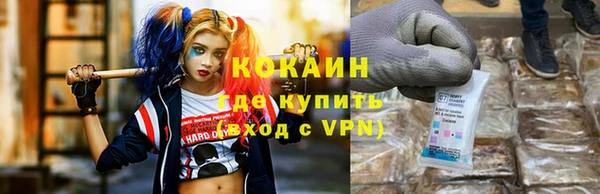 прущий лед Алзамай