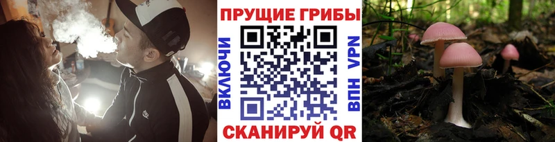Псилоцибиновые грибы Magic Shrooms  мориарти телеграм  Астрахань  mega  