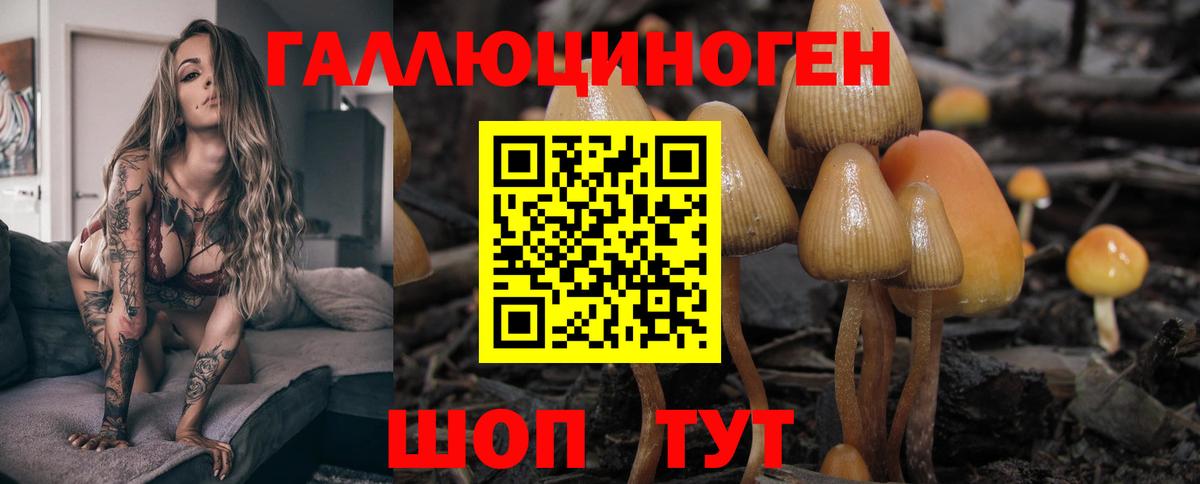 Галлюциногенные грибы Cubensis  Вход с VPN  Астрахань 